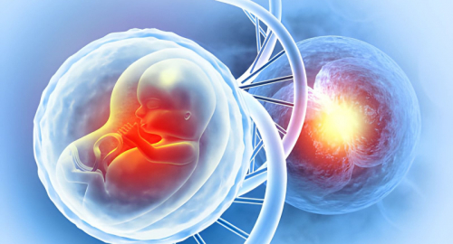 Progettare la vita: l�era del "bambino su misura" tra medicina e mercato